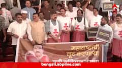 ক্যান্টিন-কর্মীকে বেধড়ক মারধর শাসকদলের বিধায়কের, মহারাষ্ট্রে গেঞ্জি-তোয়ালে পরে বিধানসভায় বেনজির প্রতিবাদে বিরোধীরা
