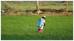 PM Kisan Yojana : ఈ నెలలోనే పీఎం కిసాన్ యోజన నిధులు విడుదల!  స్టేటస్ ఇలా చెక్ చేయండి