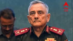 অপারেশন সিঁদুরে পাকিস্তানের ড্রোনে ক্ষতি হয়নি ভারতীয় সেনার: CDS অনিল চৌহান
