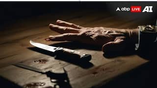 New Tiles Uncover Man's Murder In Maharashtra, His Wife On The Run With Lover