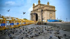 महाराष्ट्र: बॉम्बे हाईकोर्ट ने धरोहर कबूतरखानों पर BMC की कार्रवाई रोकी, मांगे सबूत