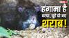 धनबाद में चूहे गटक गए 800 बोतल शराब! बीजेपी ने हेमंत सोरेन सरकार को घेरा, की ये मांग