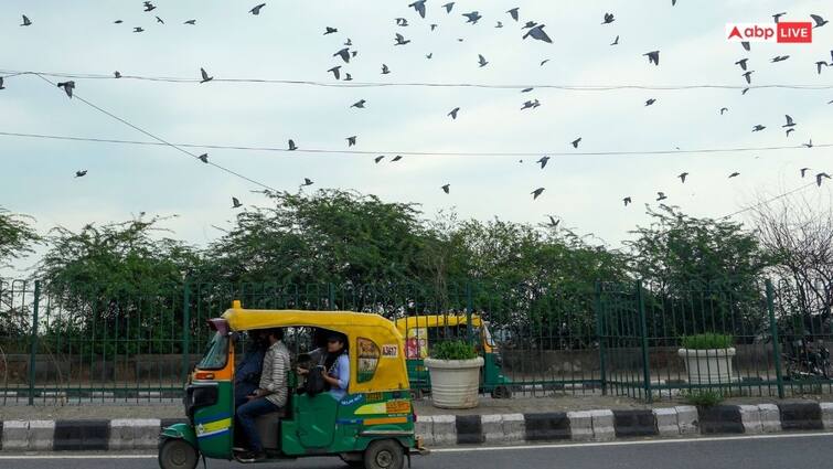 Delhi: दिल्लीवालों के लिए अच्छी खबर! दो सालों में चली सबसे साफ हवा, खुलकर लें सांस Delhi Air quality cleanest in two years light to moderate rain likely to continue for the next few days Delhi: दिल्लीवालों के लिए अच्छी खबर! दो सालों में चली सबसे साफ हवा, खुलकर लें सांस