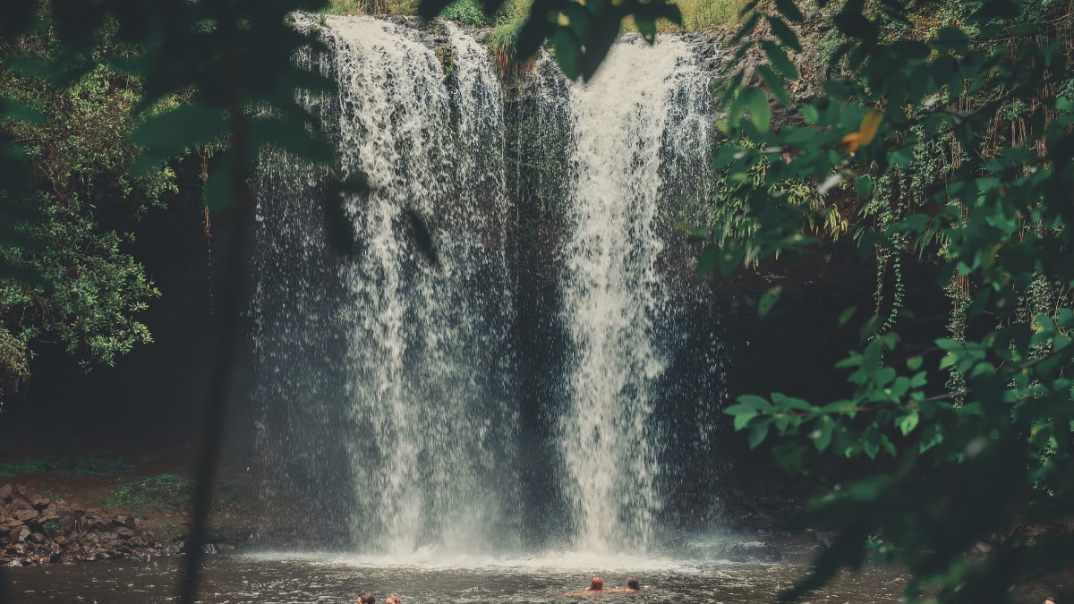 (Image Source: Canva)