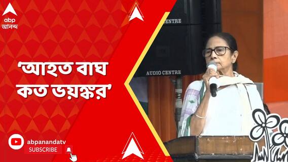 'আঘাত করলে বুঝবেন, আহত বাঘ কত ভয়ঙ্কর, অত্যাচারের জবাব বাংলা দেবেই : মমতা