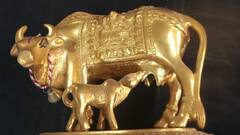 ఇంట్లో కామధేనువు విగ్రహాన్ని ఈ దిశలో పెడితే అదృష్టం , ధనం కలిసొస్తాయి!