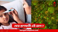 ফের প্রাণঘাতী হয়ে ফিরতে পারে টাইফয়েড! 'ব্যর্থ হচ্ছে' একের পর এক ওষুধ, ভয় ধরানো দাবি গবেষণায়