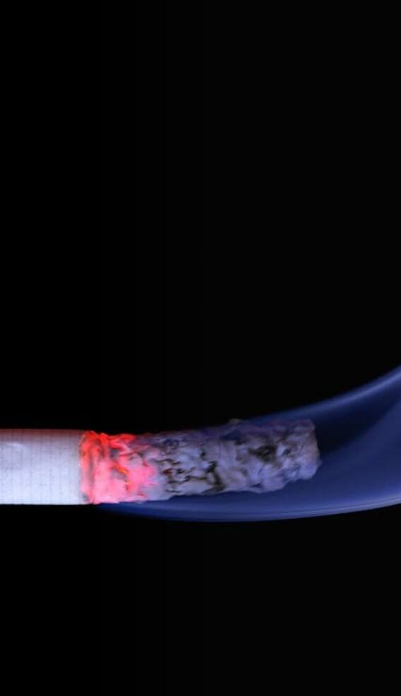 सिगरेट का धुआं शरीर में कहां-कहां जाता है?