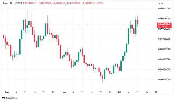 BONK/USD 1D Price Chart|Source: TradingView