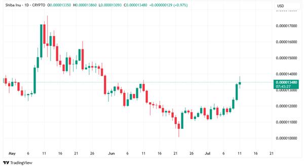 SHIB/USD 1D Price Chart|Source: TradingView