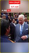Women cricketers with King Charles