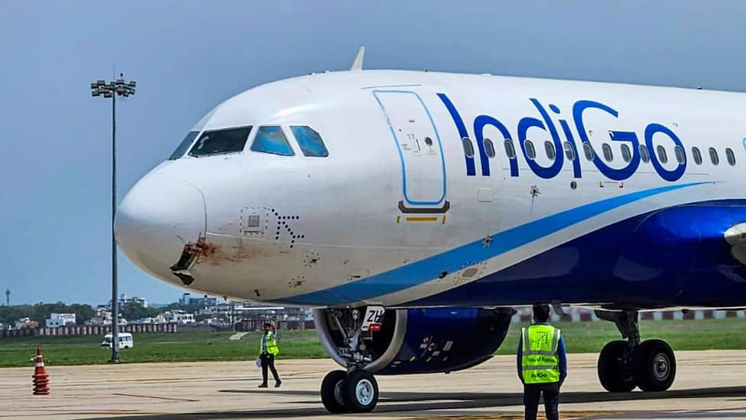 Delhi-Goa IndiGo Pilot Said 'PAN PAN PAN' Before Emergency Landing, This Is What It Means Indigo Delhi Goa Flight Emergency Landing What Is PAN PAN PAN Distress Call Delhi-Goa IndiGo Pilot Said 'PAN PAN PAN' Before Emergency Landing, This Is What It Means