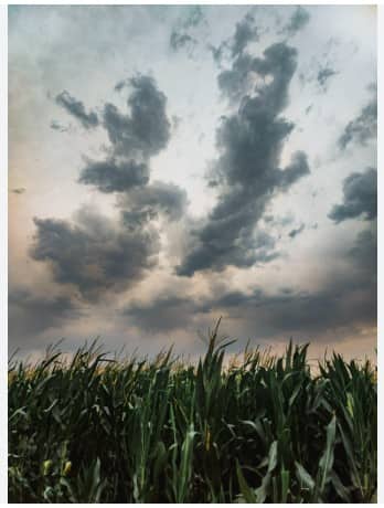 ਮਾਨਸੂਨ 'ਚ ਮੀਂਹ ਨੂੰ ਲੈ ਅਲਰਟ, ਜਲਥਲ ਹੋਣਗੇ ਇਹ ਇਲਾਕੇ; ਵਧੇਗਾ ਇਹ ਖਤਰਾ...