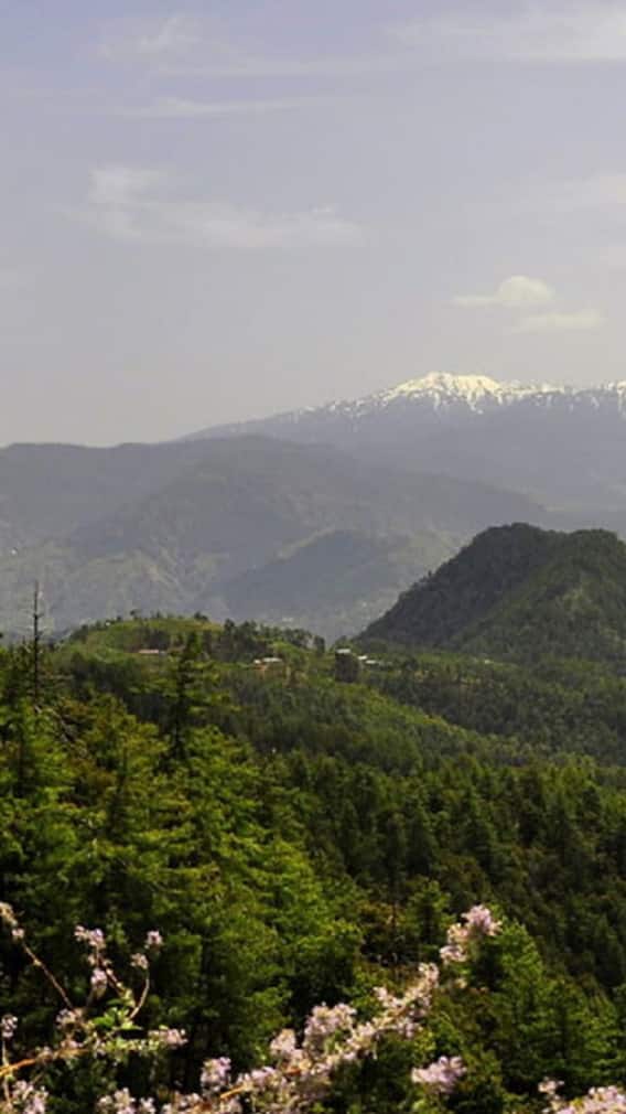 भीड़ से दूर, सुकून से भरपूर, उत्तराखंड की ये छुपी हुई जगहें जरूर देखें