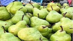 Health Tips: બબુપોચામાં કયું વિટામિન હોય છે, જાણો આ રસદાર મીઠા ફળ ખાવાના ફાયદા?