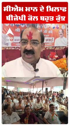 ਸੀਐਮ ਮਾਨ ਦੇ ਖ਼ਿਲਾਫ ਬੀਜੇਪੀ ਕੋਲ ਬਹੁਤ ਕੁੱਝ