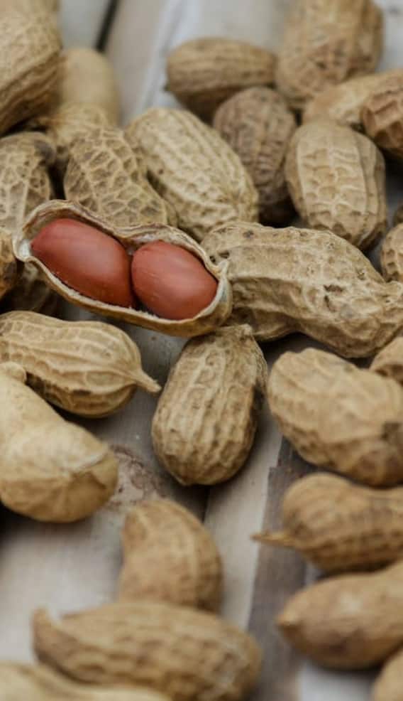 ज्यादा मूंगफली खाने से होती हैं ये दिक्कतें