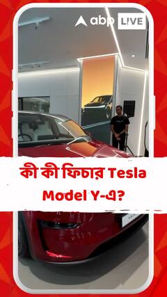 Tesla Model Y কিনতে চাইছেন? কী কী ফিচার Tesla Model Y-এ?