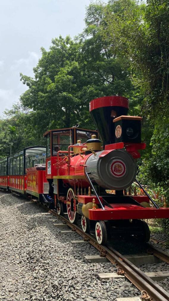 नव्या रंगात, नव्या ढंगात; ‘वन राणी’ पुन्हा सुरू!