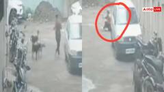 Watch: घर से बाहर निकलने से पहले ये वीडियो जरूर देखें, लोगों को नोच रहे कुत्ते, CCTV फूटेज वायरल