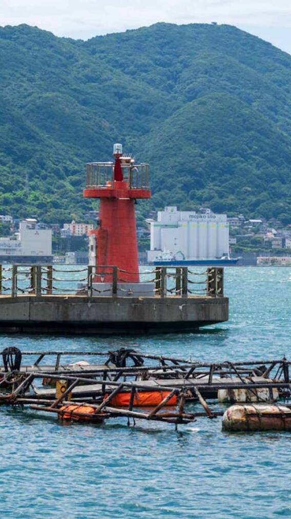 जापान के पानी से दुनिया को क्यों है खतरा?