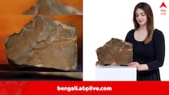 মঙ্গলগ্রহ থেকে ছিটকে এসেছিল, লালগ্রহের উল্কাখণ্ড বিক্রি হল ৪৫ কোটিতে, বিতর্ক চরমে