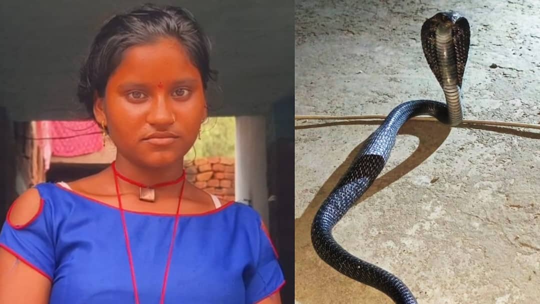 Hamirpur Snake Biten Girl Seven time in one year today hindi news ann कलयुग में सांप का बदला! एक साल में युवती को 7 बार सांप ने काटा, सपने में भी देता है दिखाई