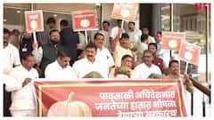 Maharashtra Opposition MLAs Protest With Pumpkins, Claim Government Delivers 'Nothing'