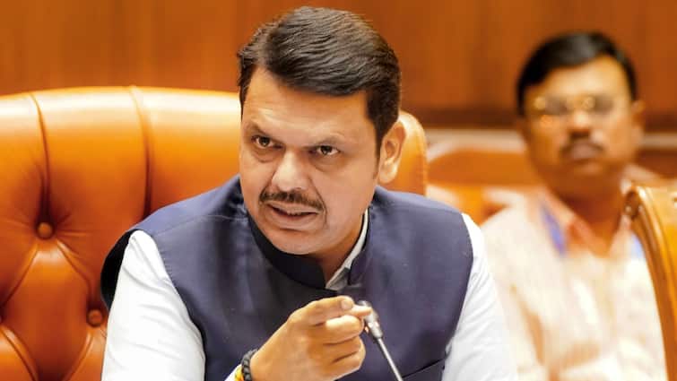 ‘If You Act Like Urban Naxal…’: Fadnavis On New Security Bill After Raj Thackeray’s Challenge
