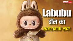 Labubu डॉल को माना जा रहा है इस राक्षस का दूसरा रूप, लोगों में डर का माहौल
