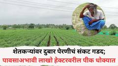 शेतकऱ्यांवर दुबार पेरणीचं संकट गडद; पावसाअभावी लाखो हेक्टरवरील पीक धोक्यात, मराठवाड्यातील स्थिती चिंताजनक