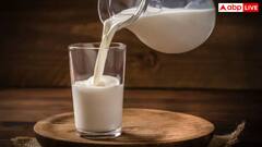 क्या होता है 'नॉन वेज मिल्क' जिस पर अटकी है भारत-अमेरिका के बीच ट्रेड डील पर बात