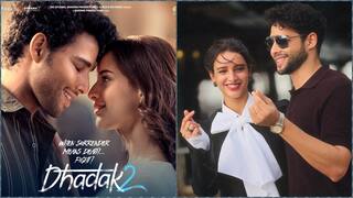 'धड़क 2' से पहले तृप्ति डिमरी के साथ इस फिल्म में इश्क फरमाते दिख सकते थे सिद्धांत चतुर्वेदी, पर हाथ से चली गई थी फिल्म