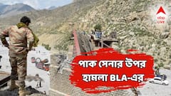 ফের পাকিস্তানকে আঘাত, বিরাট হামলা বালুচ লিবারেশন আর্মির! একাধিক সেনার মৃত্যু