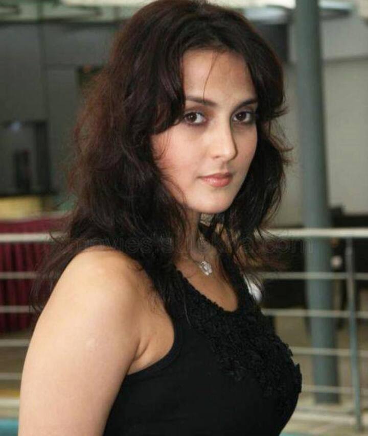 ट्यूलिप जोशी का कोई फिल्मी बैकग्राउंड नहीं था. फिल्मों में काम करने के लिए उन्हें हिंदी ट्यूशन लेना पड़ा था. एक्ट्रेस को आदित्य चोपड़ा और उनकी पहली पत्नी पायल खन्ना की शादी में देखा गया और तभी उन्हें ये फिल्म ऑफर हुई.