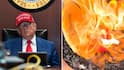 Trump Supporters Burn MAGA Hats As US President Faces Backlash Over Epstein Details: WATCH
