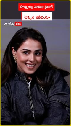 Genelia said a dialogue in the movie Bommarillu