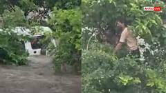 Watch: राजस्थान में बच्चों से भरी स्कूल वैन सैलाब में फंसी, सांसें थमा देने वाला वीडियो वायरल