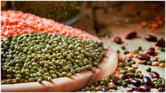 Vegetarian Sources of Protein : ప్రోటీన్ కోసం నాన్‌వెజ్ అవసరం లేదు.. వెజిటేరియన్లకు టాప్ ఫుడ్స్ లిస్ట్