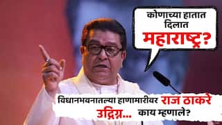 सरकारमध्ये थोडी जरी साधनशुचिता शिल्लक असेल तर स्वत:च्या लोकांवर कारवाई करून दाखवा; विधानभवनातील राड्यानंतर राज ठाकरे संतापले