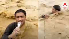 জলের তোড়ে ভেসে গেলেন পাকিস্তানের সাংবাদিক, বন্যার খবর করতে গিয়েই বিপত্তি!