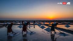 When Salt Comes With A Price: Thoothukudi’s Salt Pan Workers Brave Heat And Hardship For Survival