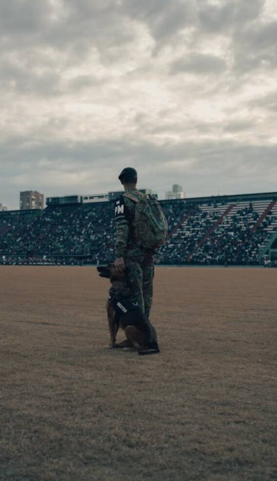 कुत्तों को आर्मी में कौन सी रैंक मिलती है?