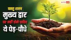 Vastu Tips: घर के मुख्य द्वार पर नहीं लगाने चाहिए ये पेड़-पौधे, वास्तु में भी है मनाही