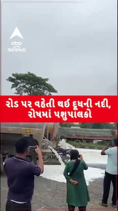 Protest by cattle breeders: રસ્તાઓ પર વહેતી થઈ દૂધની નદીઓ, જુઓ પશુપાલકોનો રોષ | Abp Asmita