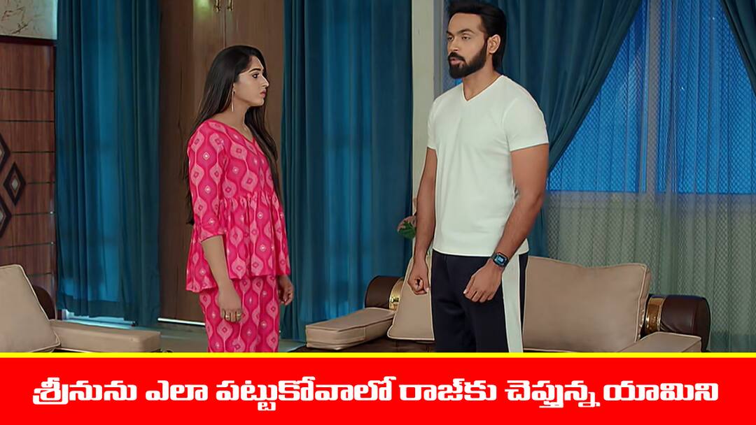 brahmamudi serial today episode July 18th written update TV Prasaram Brahmamudi Serial Today May July 18th: ‘బ్రహ్మముడి’ సీరియల్: రాజ్‌కు శ్రీనును పట్టుకునే ఐడియా చెప్పిన యామిని – కంగారులో పడిపోయిన కావ్య