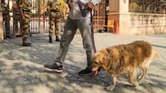 'काली पॉलीथीन में बम है जब फटेगा तो...', गुरुग्राम के स्कूल को मिली उड़ाने की धमकी
