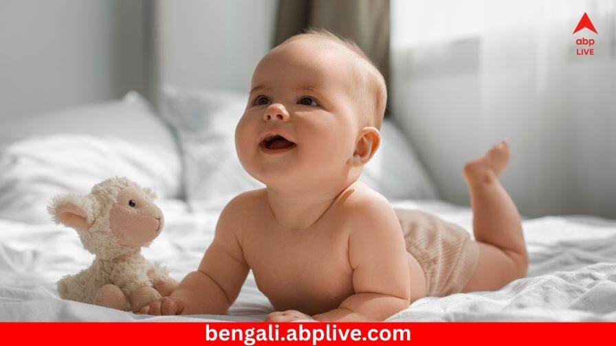 IVF: ৩ ব্যক্তির ডিএনএ থেকে জন্মাল ৮ শিশু ! যুগান্তকারী দৃষ্টান্ত IVF পদ্ধতিতে- কীভাবে সম্ভব হল ? How 8 babies were born with 3 parent DNA IVF Explore Groundbreaking Method IVF: ৩ ব্যক্তির ডিএনএ থেকে জন্মাল ৮ শিশু ! যুগান্তকারী দৃষ্টান্ত IVF পদ্ধতিতে- কীভাবে সম্ভব হল ?