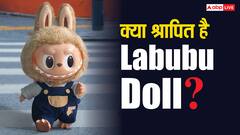 श्रापित है लाबूबू डॉल, घर आते ही गई पिता की जान!, इस एक्ट्रेस ने सुनाया किस्सा