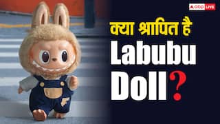 श्रापित है Labubu Doll, घर आते ही गई पिता की जान!, इस एक्ट्रेस ने सुनाया खौफनाक किस्सा